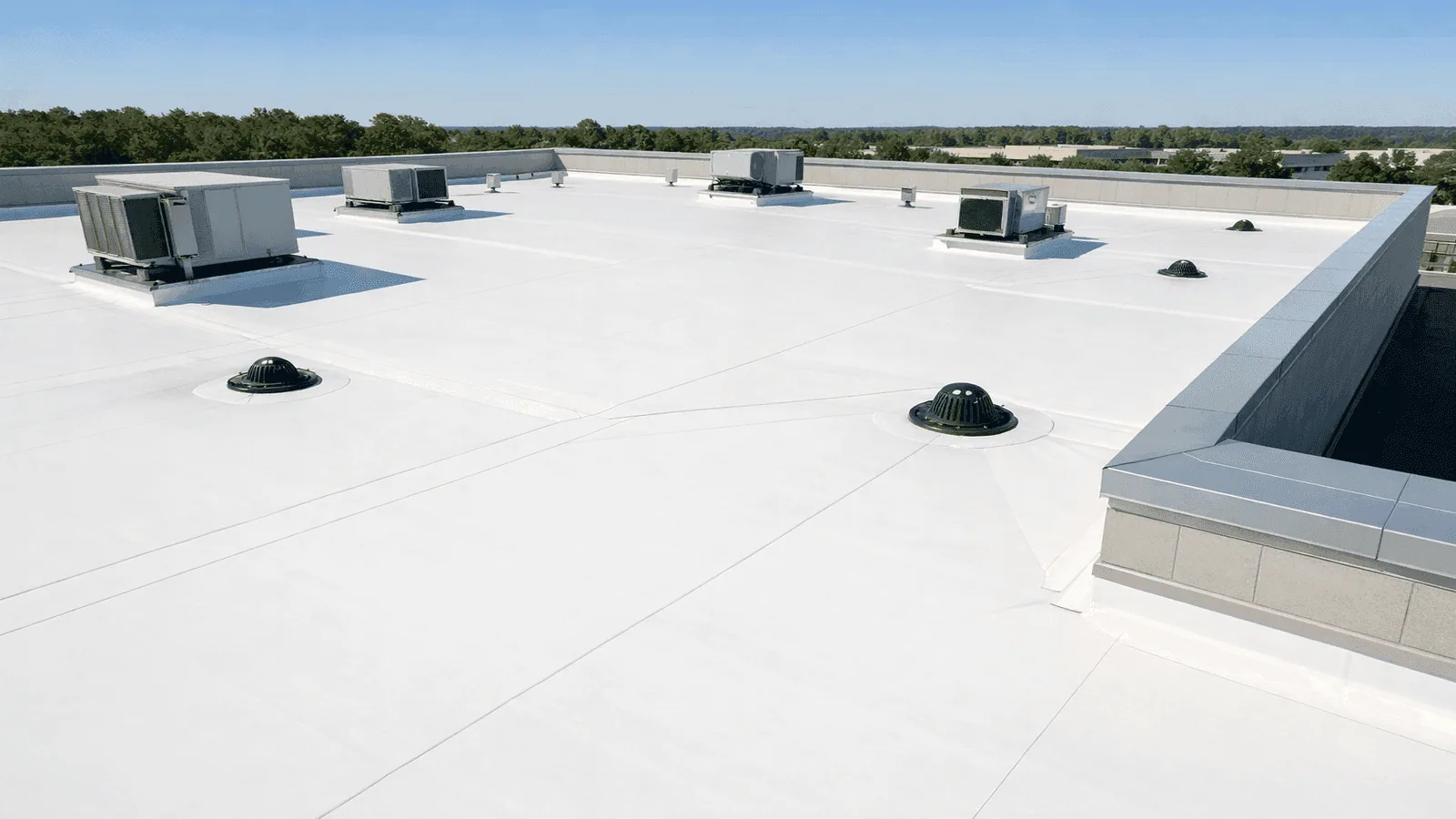 Roof Damage Repair