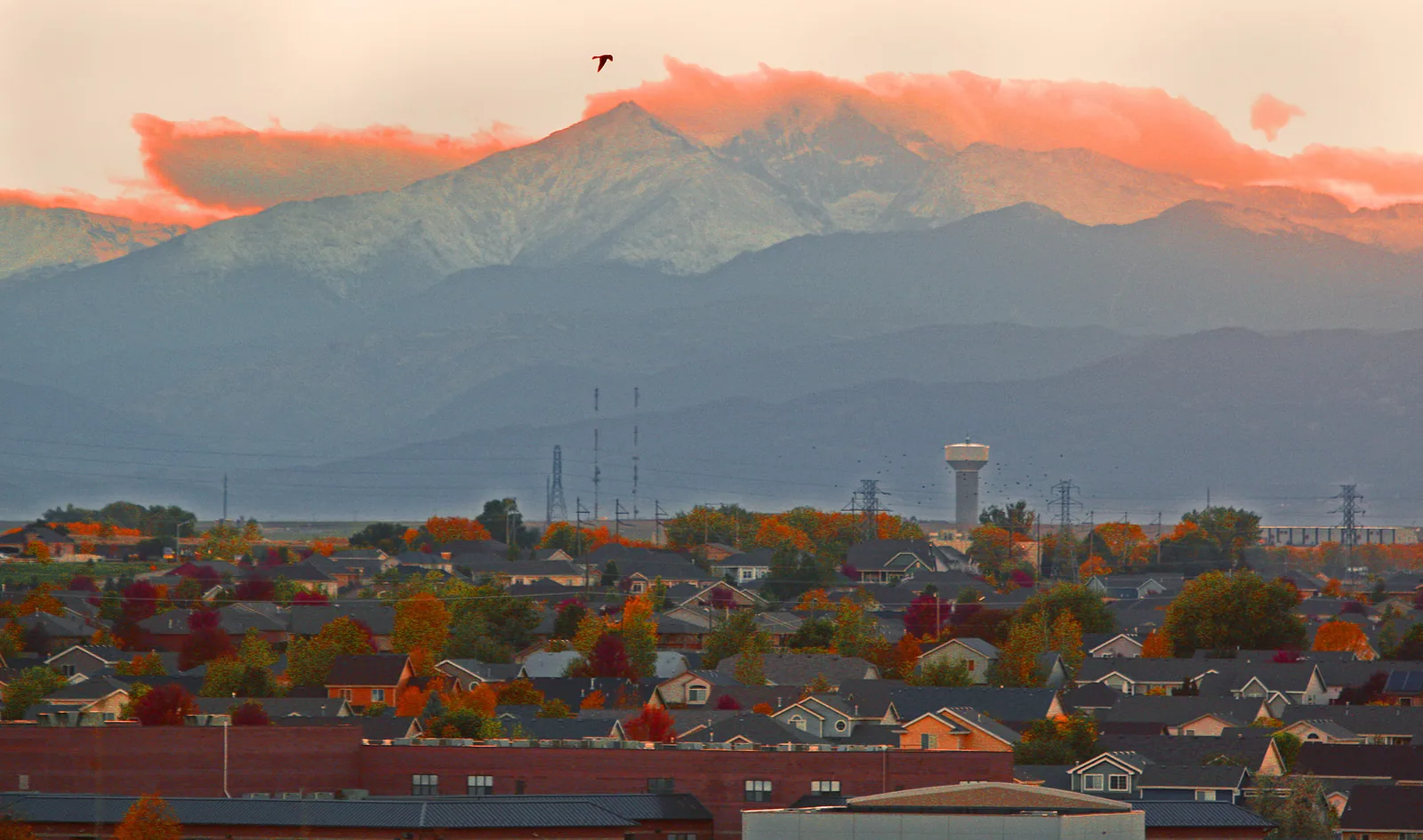 Commercial roofing in Greeley, CO