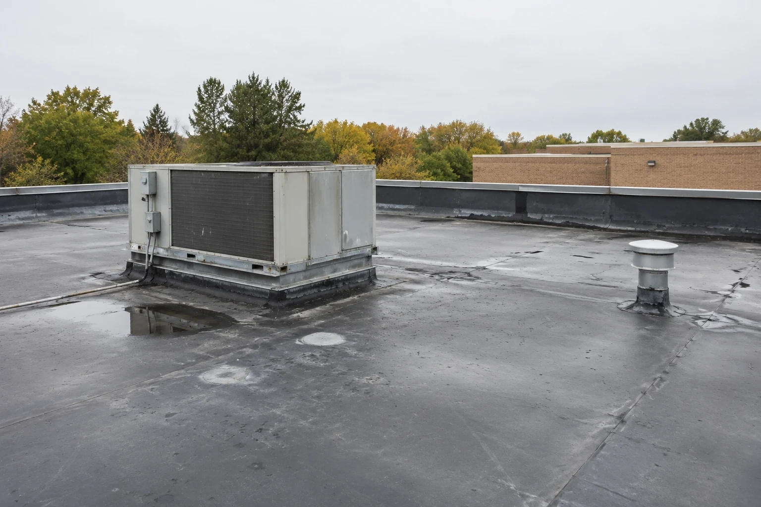 Commercial Roofing for Public Agencies in Greeley, CO