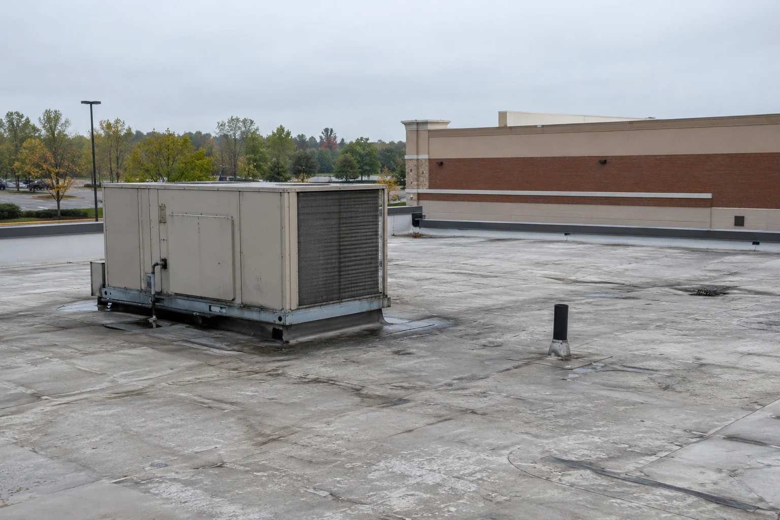 Grocery Store Roofing in Greeley, CO