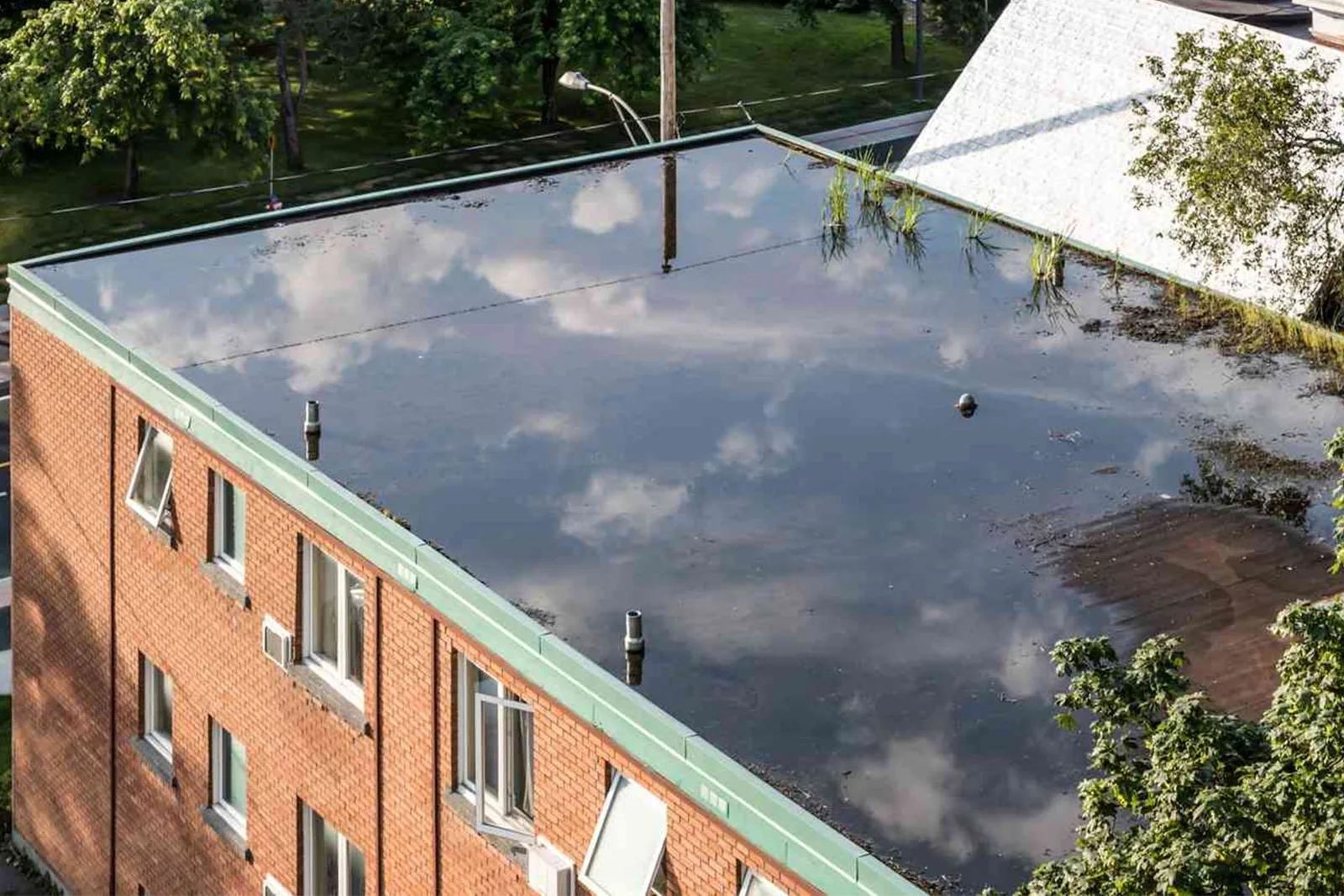 Emergency Commercial Roof Repair in Greeley, CO